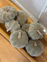 Crisp & Cool Taupe Pumpkin Bag