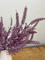 Lavender Astilbe Bundle