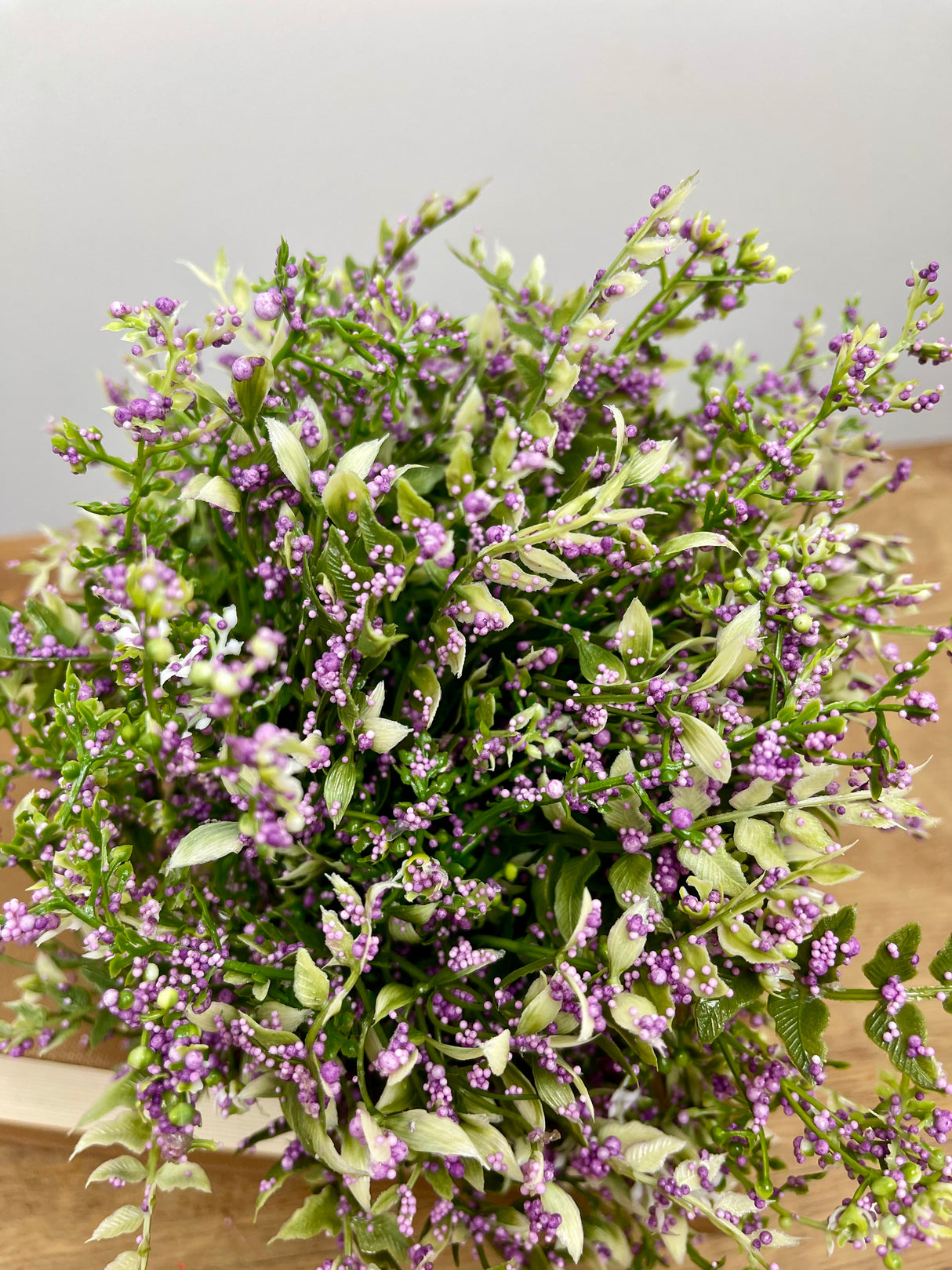 Purple Tip Mixed Fern Dome