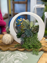 Succulent Berry Pick