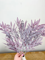 Seeded Dusty Bayleaf Bush