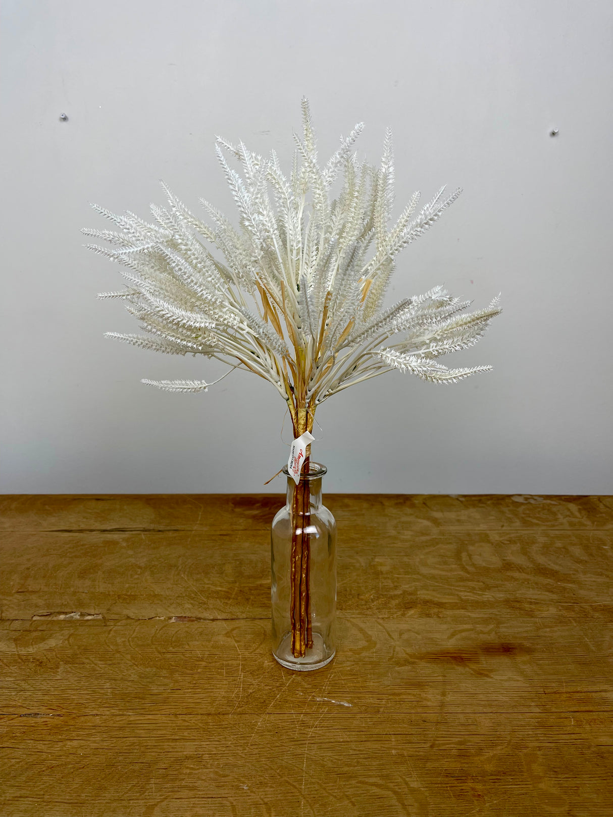 Cream Weedy Wheat Bundle