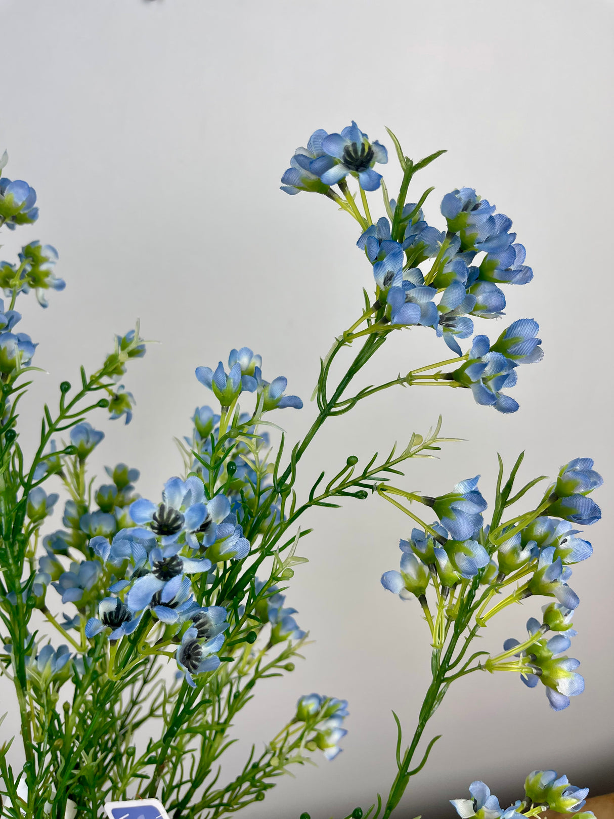 Blue Single Waxflower Spray