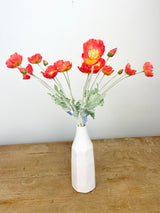 Flame Poppy Spray