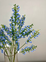 Blue Baby Blossom Spray