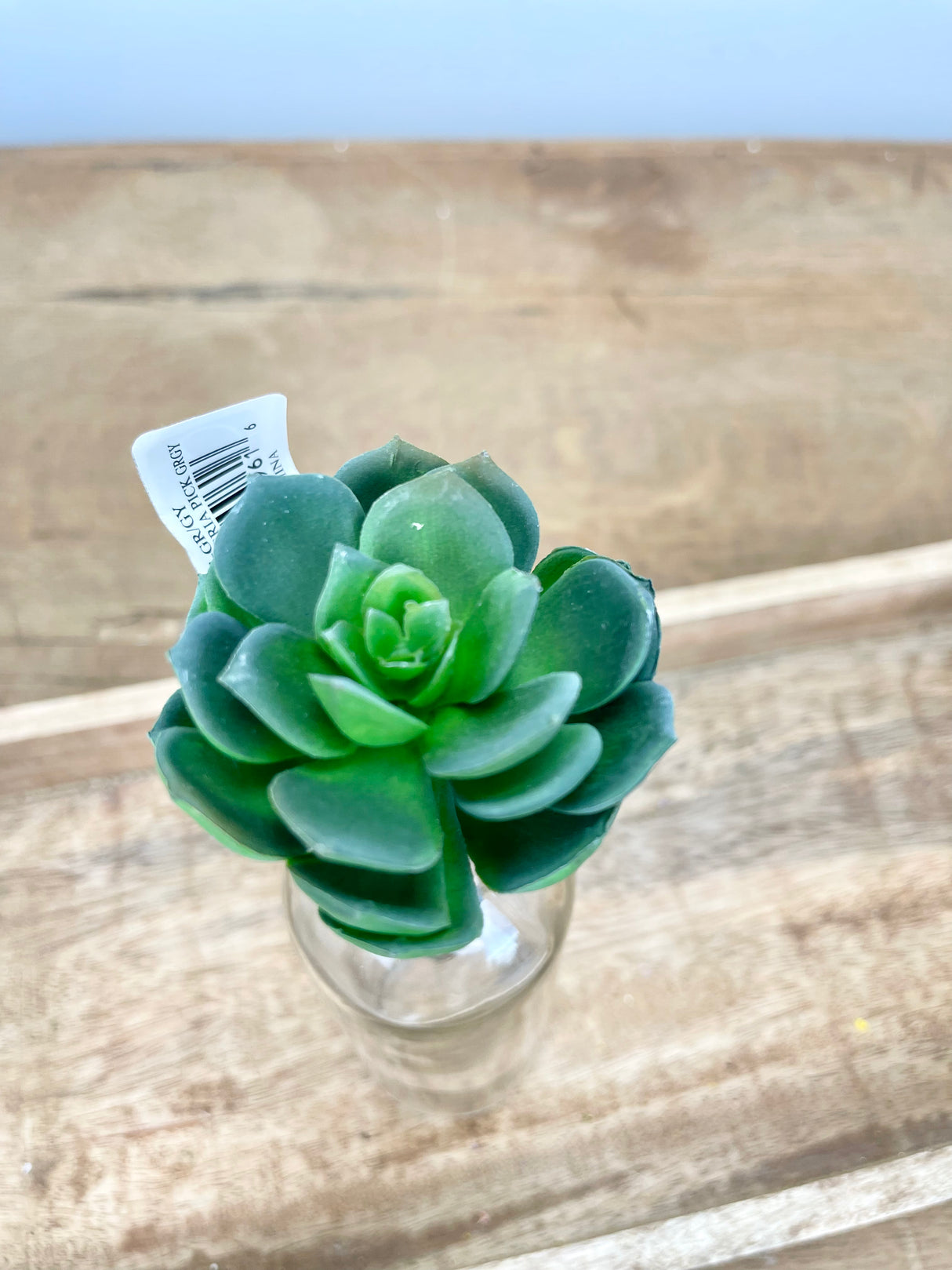 Blue Gray Real Touch Echeveria Pick
