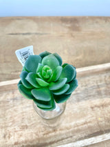 Blue Gray Real Touch Echeveria Pick