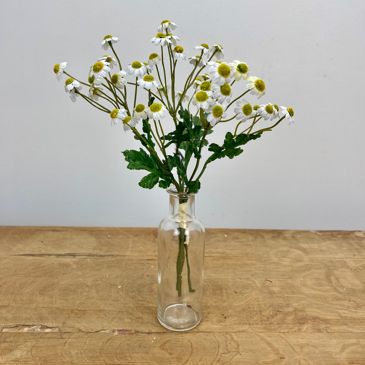 White Mini Daisy Bundle – Magnolias