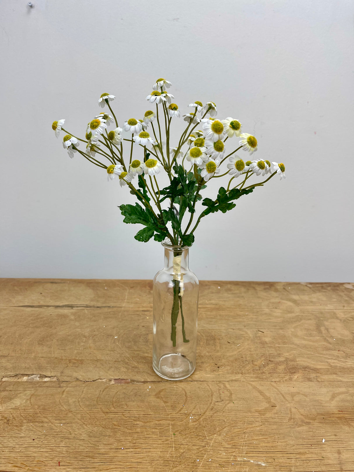 White Mini Daisy Bundle