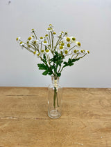 White Mini Daisy Bundle