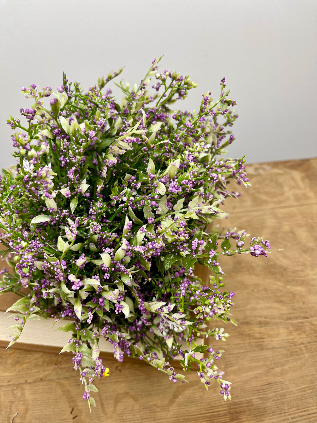 Purple Tip Mixed Fern Dome