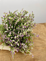 Purple Tip Mixed Fern Dome