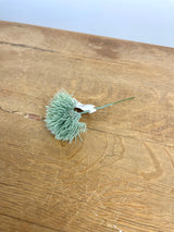 Frosted Green Mini Moss Grass Pick