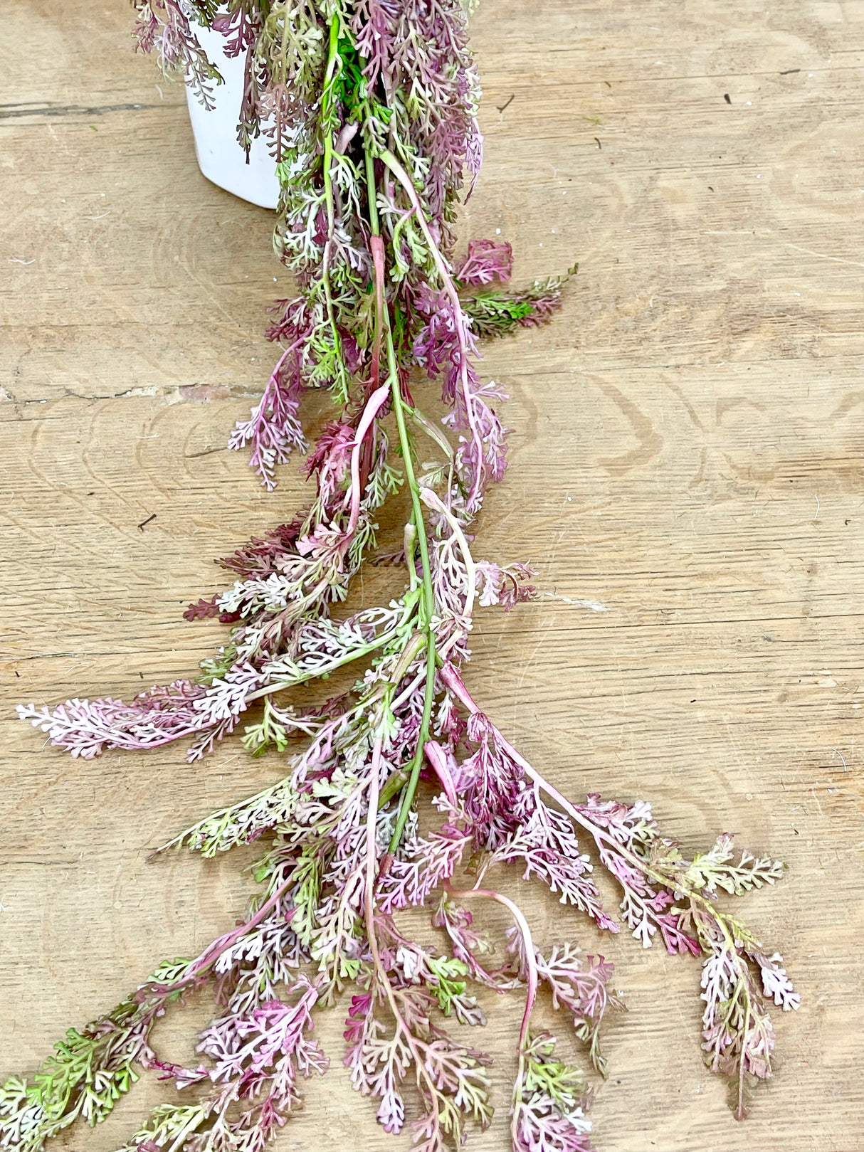 Pink Hanging Fern