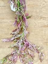 Pink Hanging Fern