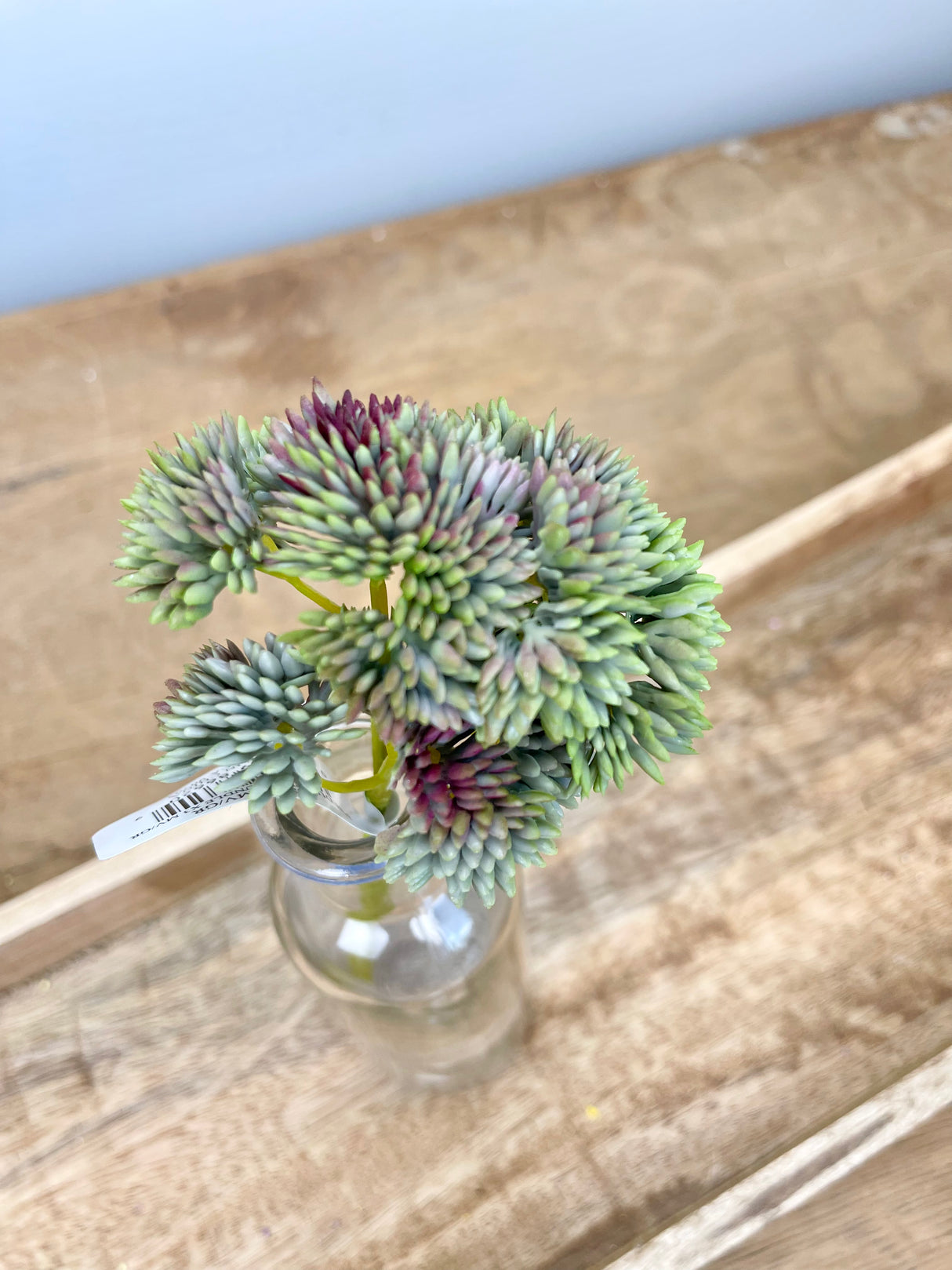 Mauve Mix Sedum Pick