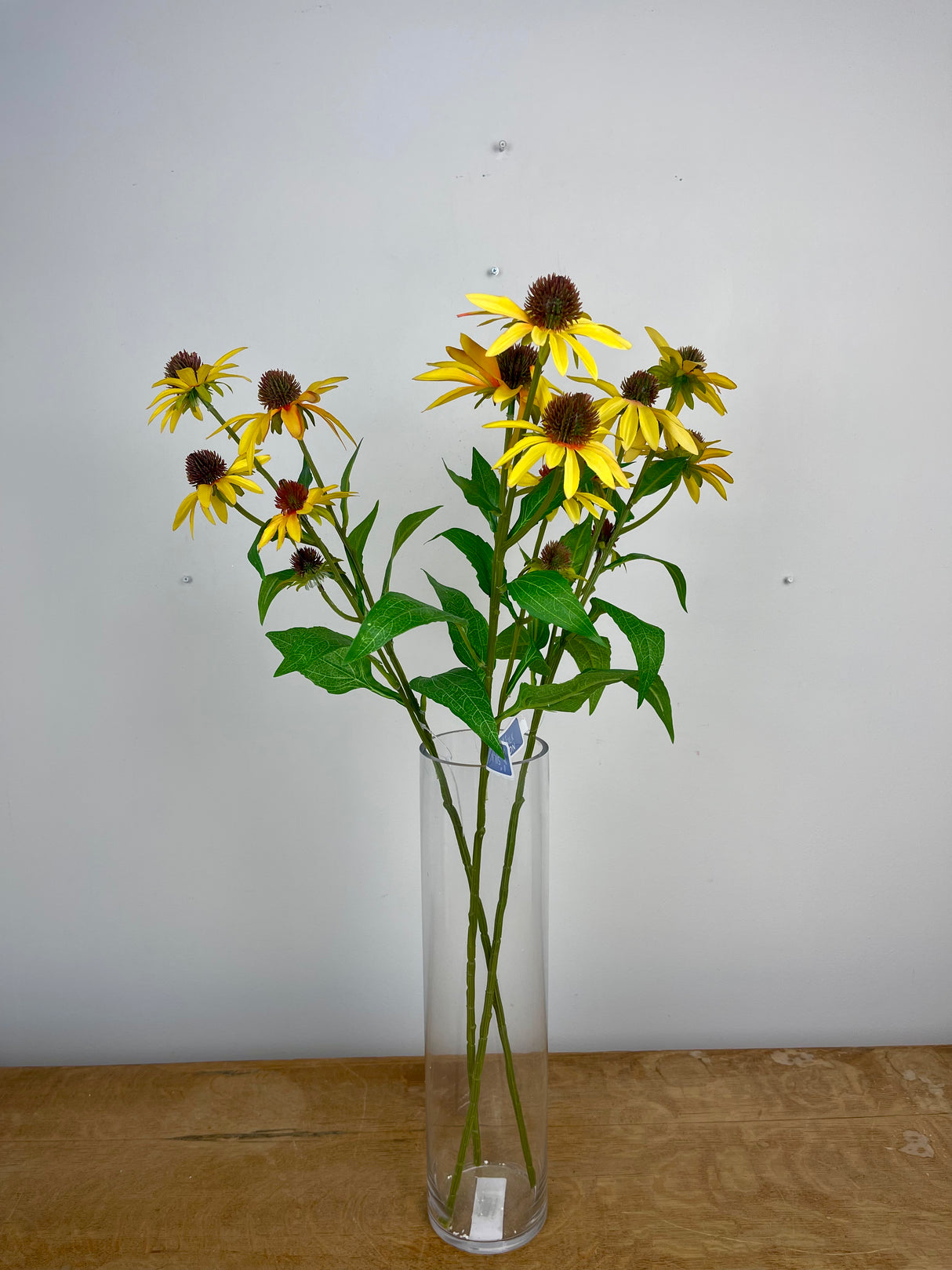 Yellow Echinacea Spray