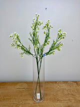Cream Single Waxflower Spray
