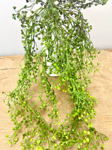 Trumpet Leaf Draping Spray