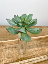 Large Echeveria Pick