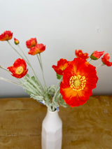 Flame Poppy Spray