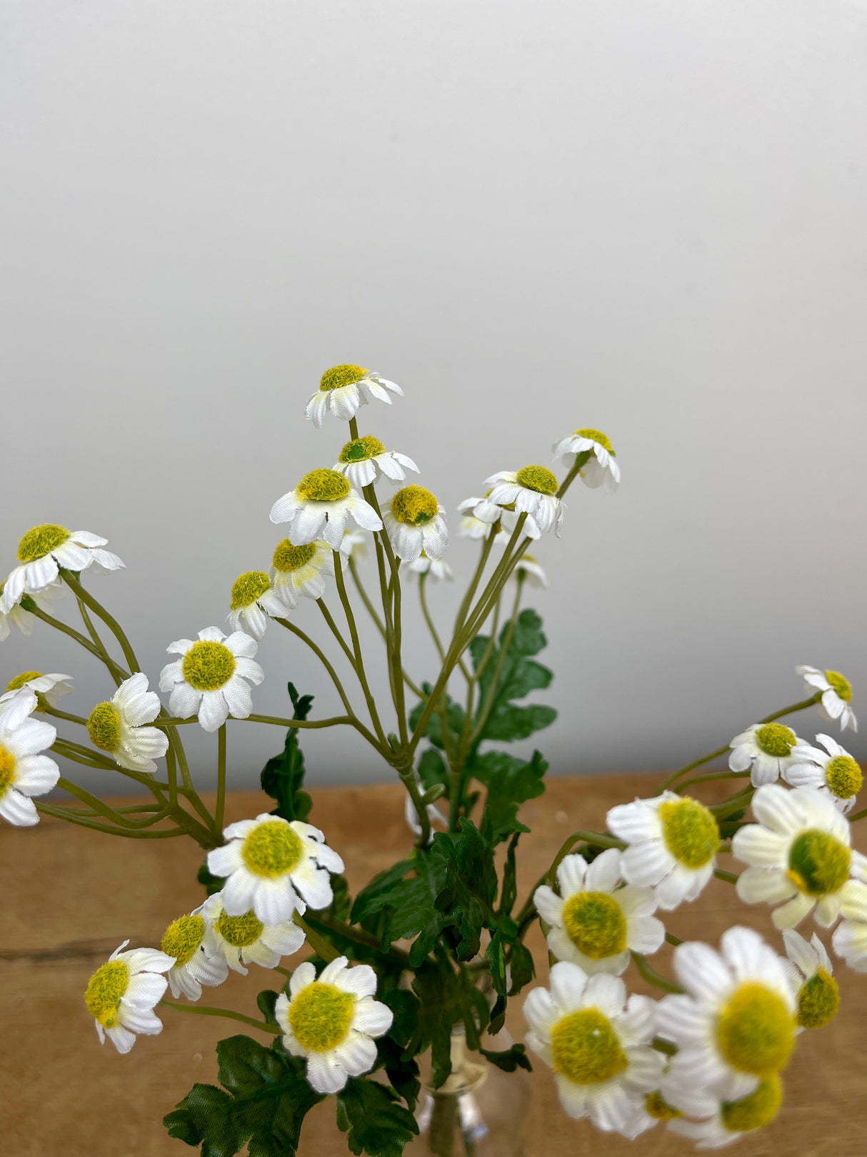 White Mini Daisy Bundle