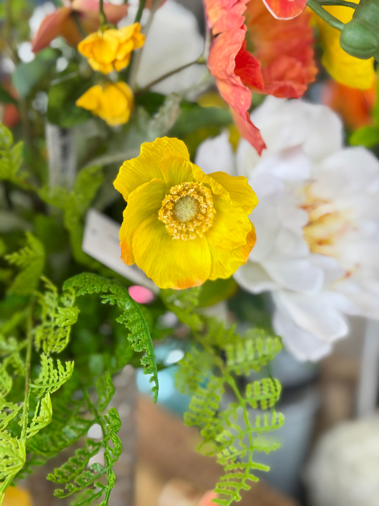Yellow Poppy Spray