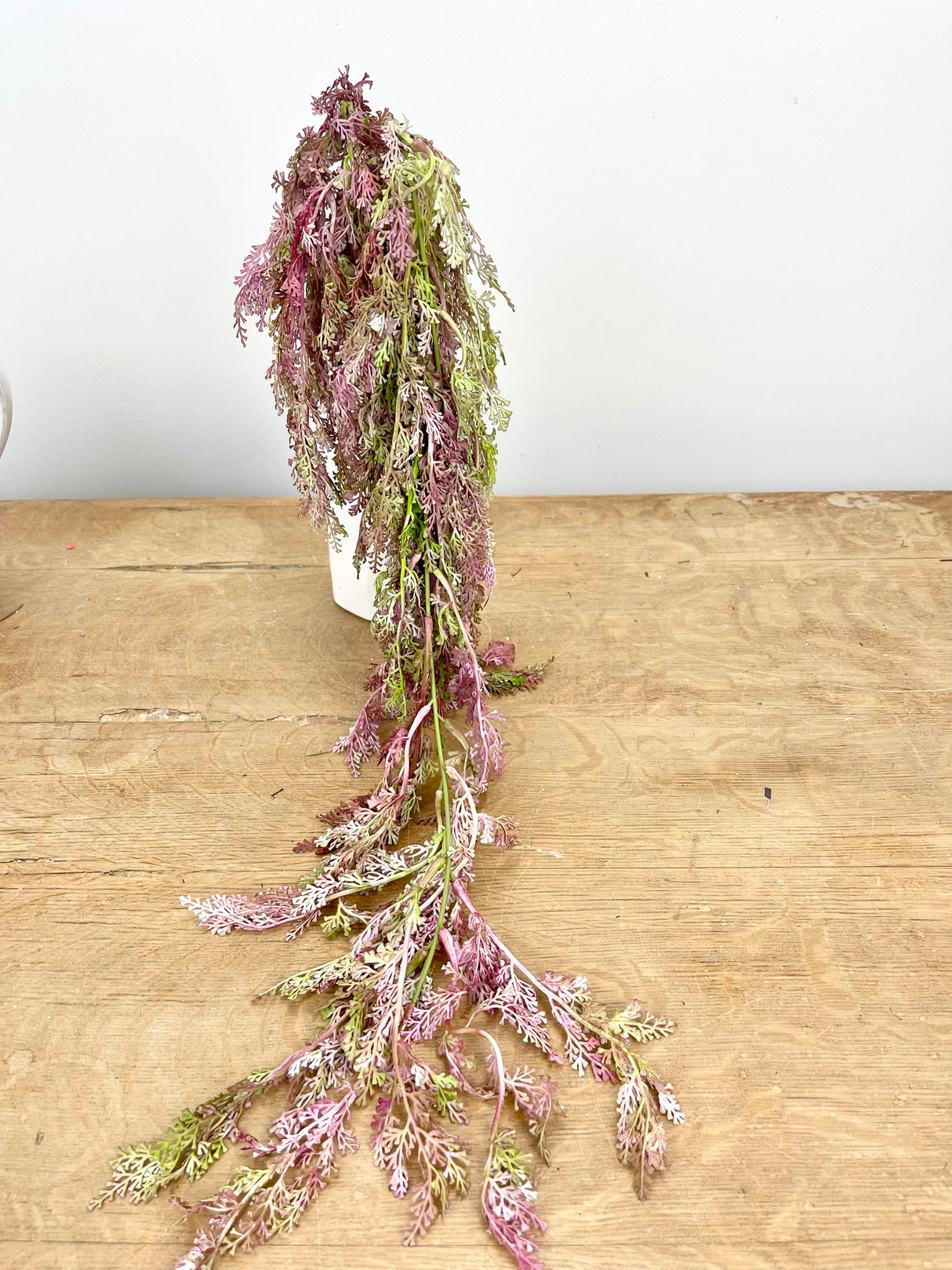 Pink Hanging Fern