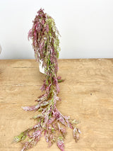 Pink Hanging Fern
