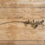 Blue Green Berries Spray