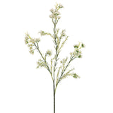 Cream Single Waxflower Spray