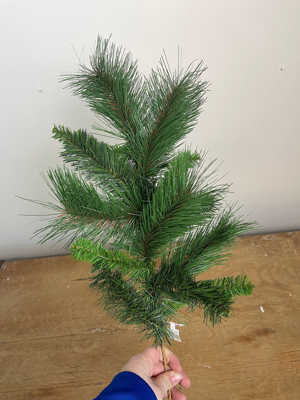Tall Himalayan Pine Spray