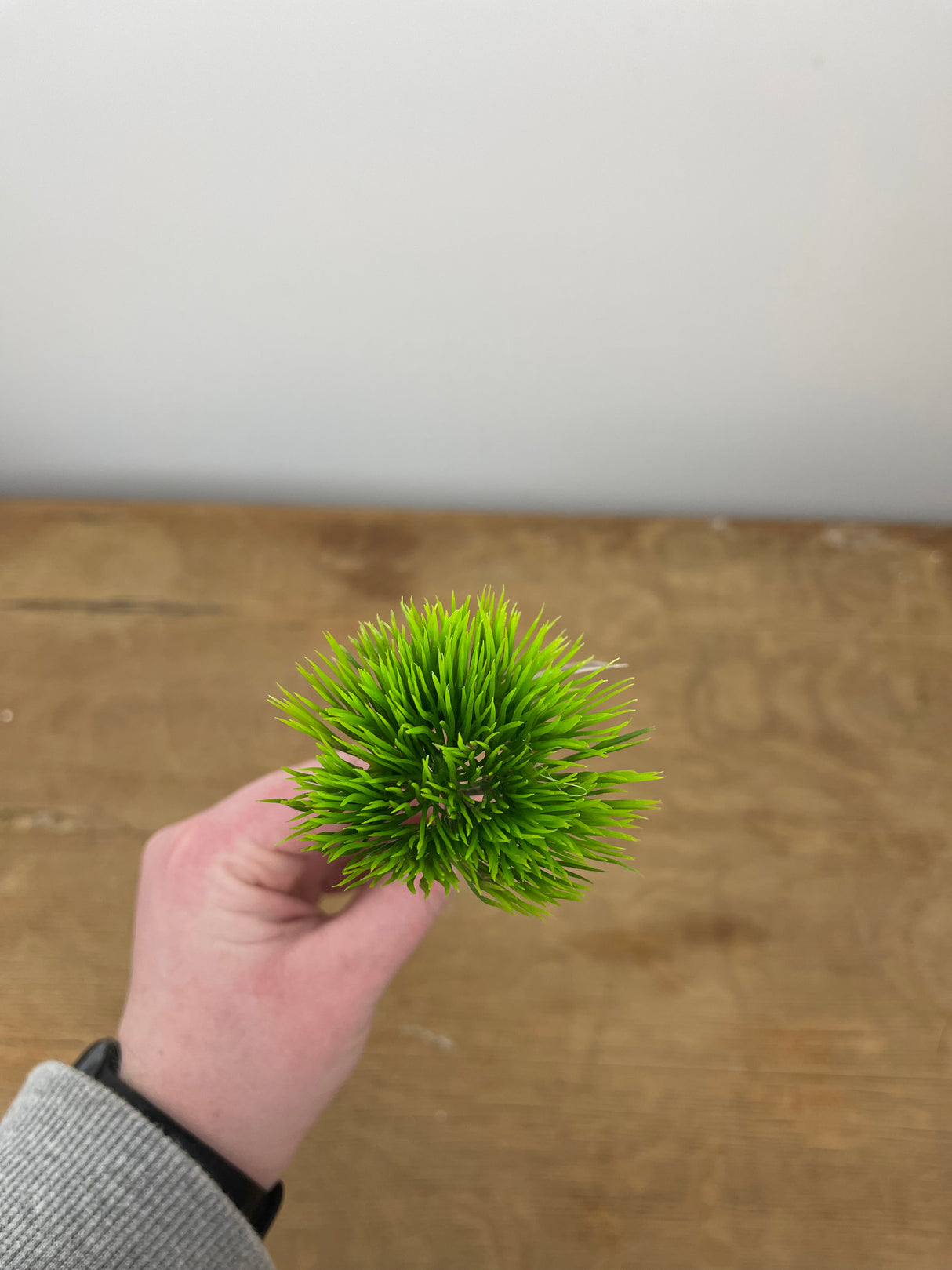 Mini Moss Grass Pick