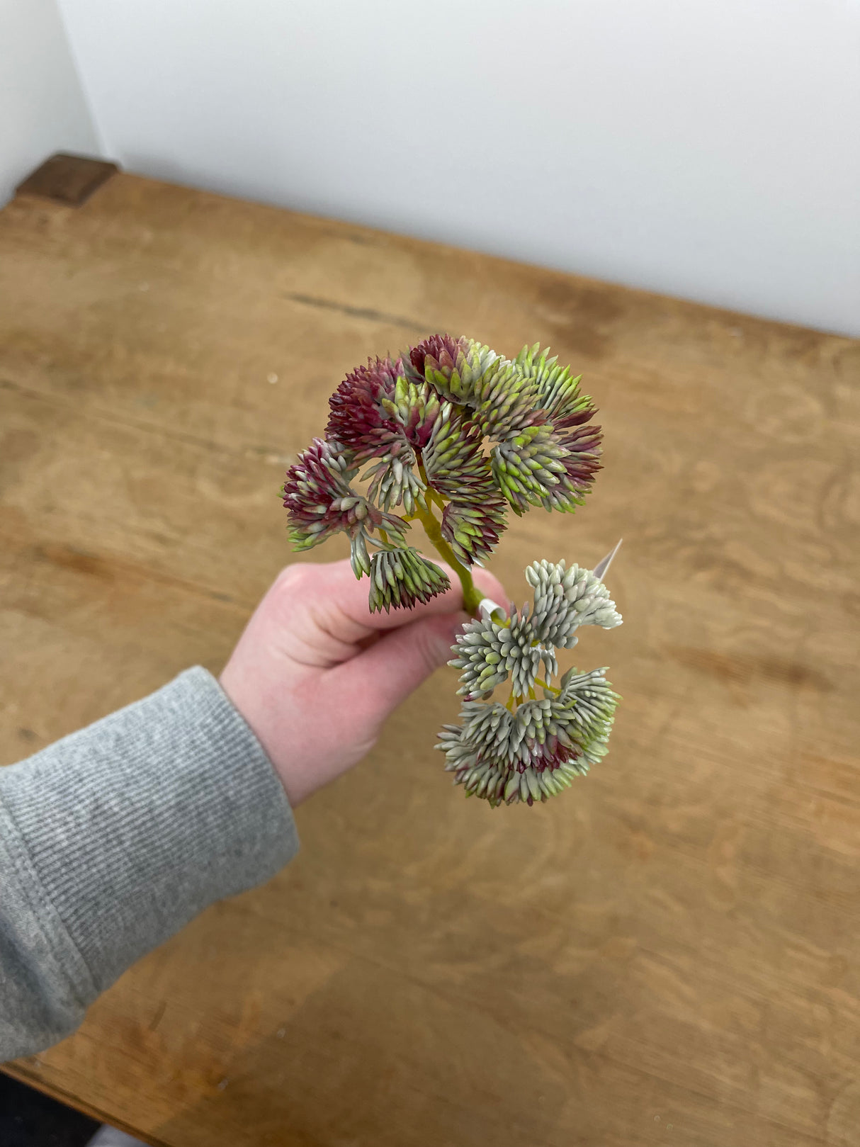 Mauve Mix Sedum Pick