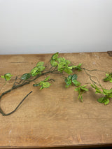 48" Bendy Fittonia Vine