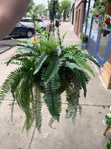 20" UV Protect Fenders Hanging Basket