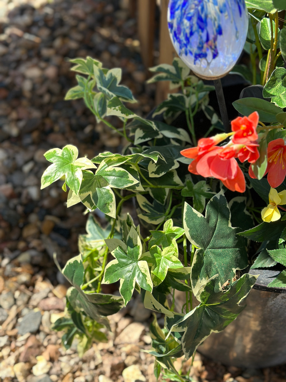 UV Protect Hanging Garden Ivy Bush