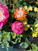 Beauty Peony Bud Spray