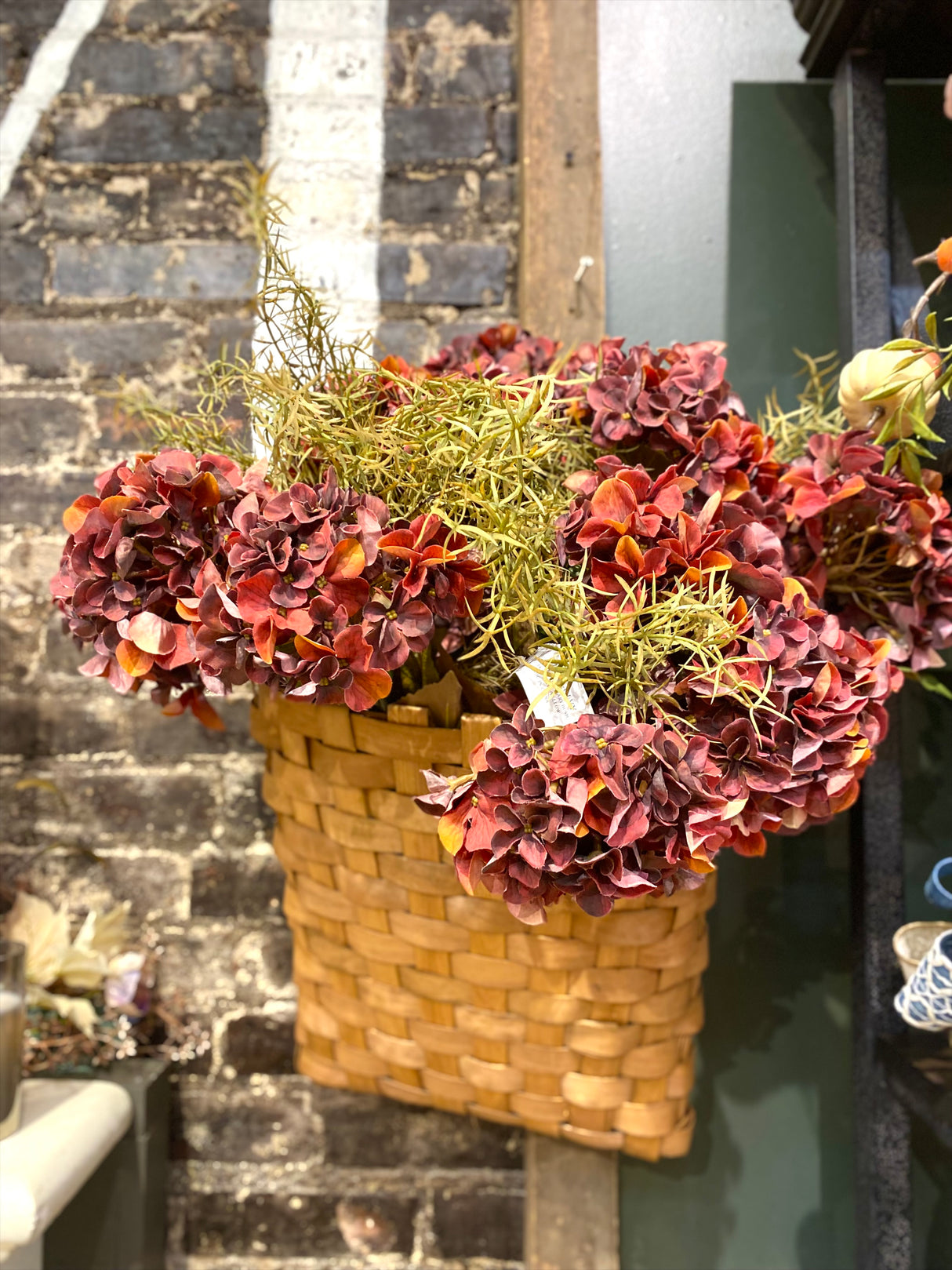 Rust Harvest Hydrangea Bush