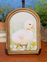Arch Top Fluffy Duckling Framed Art