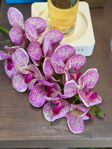 Real Touch Purple & Cream Orchid Spray