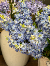 Blue Blooms Delphinium Bush