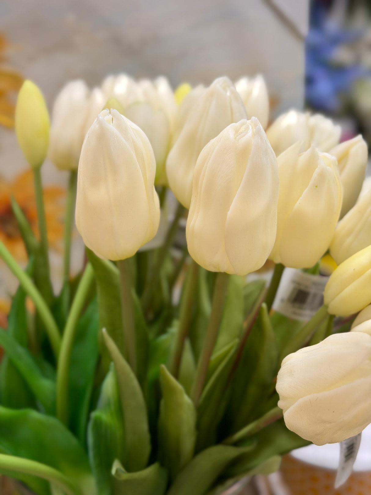Cream Real Touch Dutch Tulip Bouquet