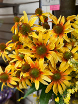 Yellow Echinacea Spray
