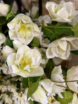 Cream Green Helleborus Spray
