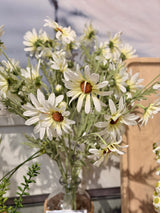 Timeless White Daisy Spray