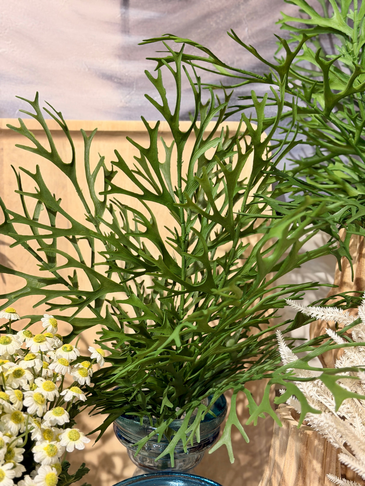 UV Protect Green Staghorn Fern Bush