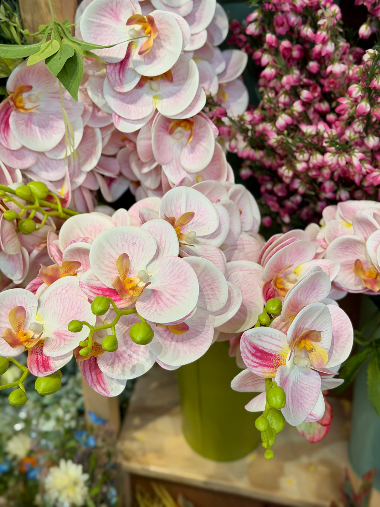 Pink Phalaenopsis Orchid Spray