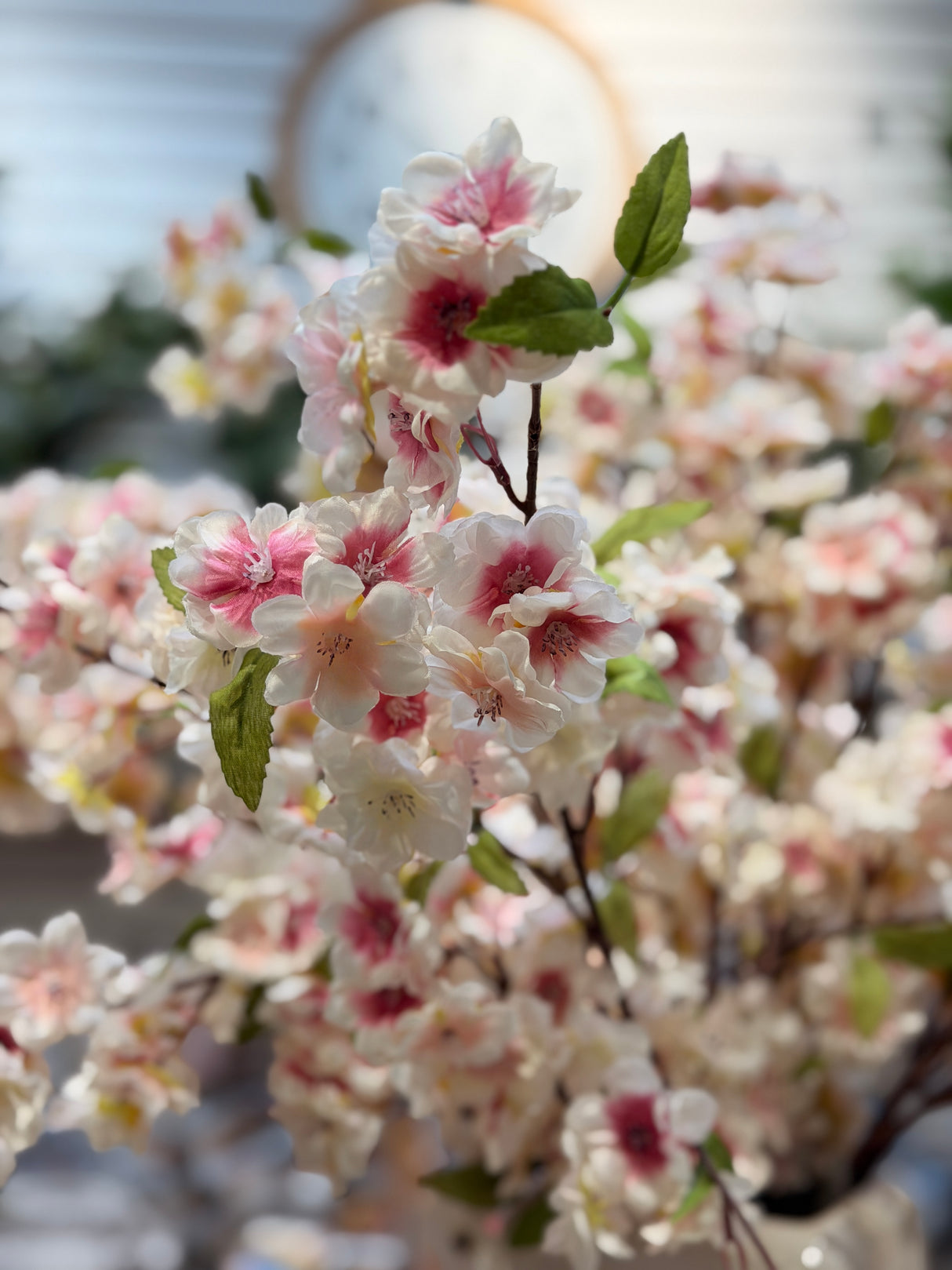 Cherry Blossom Bundle