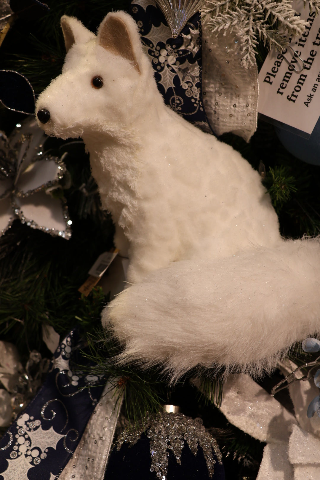 Arctic Fox Friend